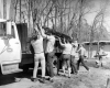 Clearing Driftwood