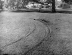 Turf Damage at Ethan Allen Park