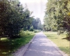 View of Burlington Recreation Path