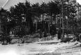 Cabins at Oakledge Park