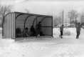 Ice Skating and Shelter