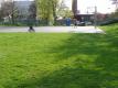 Basketball Court at Smalley Park