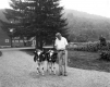 Albert Conklin Training Calves