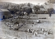 The Soil Conservation Service at Nelson Farm