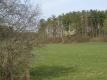 Field At Shelburne Farms