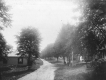 Dirt Road Through South Peacham