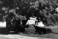 Harvey Varnum Farm