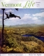 Elfin Lake in Summer