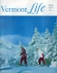 Skiing in a Winter Wonderland
