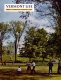 Baseball on South Strafford Green