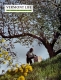 Beekeeping in Pomfret