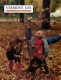 Tossing Leaves on the Town Green in Weston