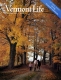 Autumn Stroll in Clarendon