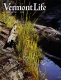 Wild Flowers along the West Branch of the Ompompanoosuc River in Thetford