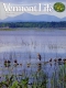 Ducks and Heron on Lake Champlain in South Hero
