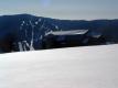 Sugarbush from Bragg Hill