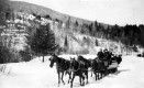 Horse drawn sleigh ride