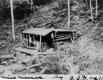 Wooden shelter in wooded hollow