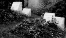 Gravestones at Couching Lion Farm