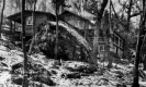 The Long Trail Lodge