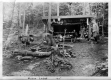 Birch Lodge