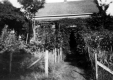 Will S. Monroe's house and garden