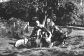 Will S. Monroe and his dogs