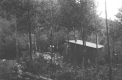 Wooden lean-to in forest