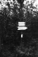 Decidious tree trail marker