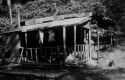 Emily Prostar Lodge