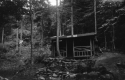 Emily Prostar Lodge and surrounding forest