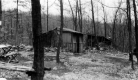 Twin shelters