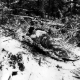 Sleeping in the snow