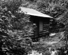 Taylor Lodge surrounded by vegetation