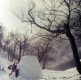 Igloo on the Long Trail