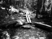 Catwalk over the mud on the Sunset Ridge Trail