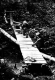 Construction of bridge across Beaver Meadow