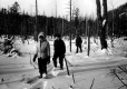 Three hikers snowshoeing across cranberry bog