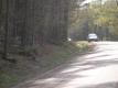 A Road On Shelburne Farms