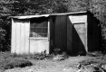 Camel Camp