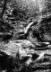 Dry streambed along the Long Trail