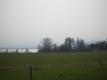 A Field At Shelburne Farms