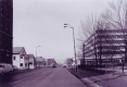 Dutch Elm Disease on Pearl Street 1980s