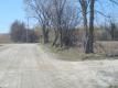A Road On Shelburne Farms