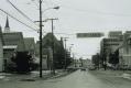Dutch Elm Disease on Elmwood Avenue 1980s