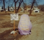 Winooski Urban Renewal Social Commentary