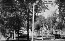 The park