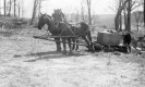 Sugar Season on Davis Farm