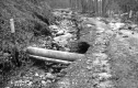 Washed-out dirt road