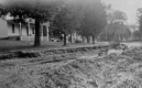 Washed-out stream bank